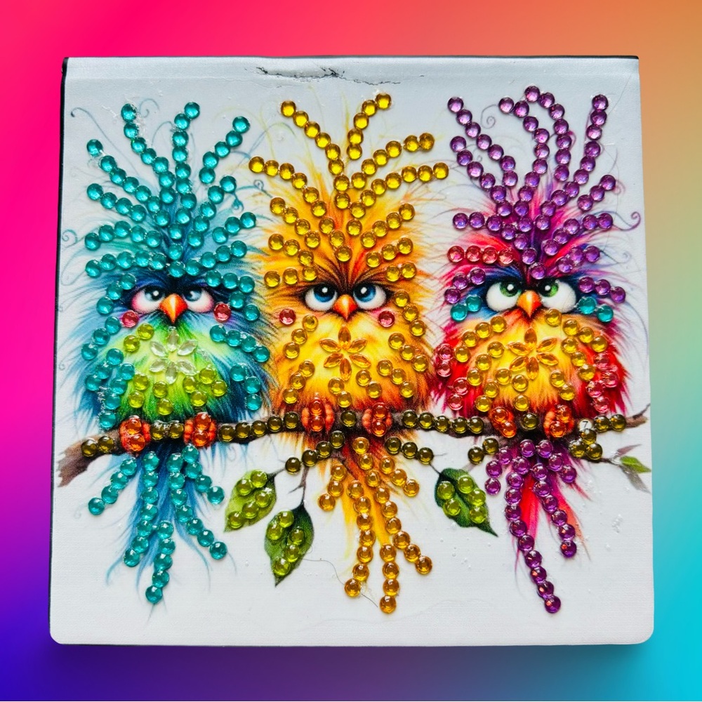 Hand Crafted Colorful Diamond Art Silly Bird Note Box